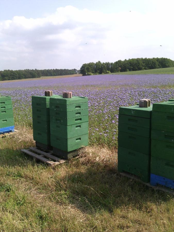 Kägsdorf Kalmar 8 빌라 외부 사진
